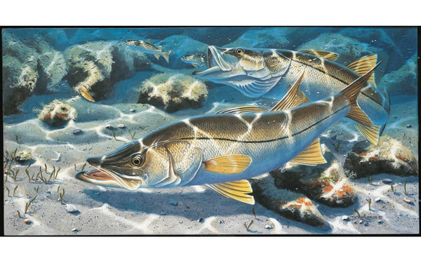 Fish Poster 01 Art Print by Jack Hornady Illustrations